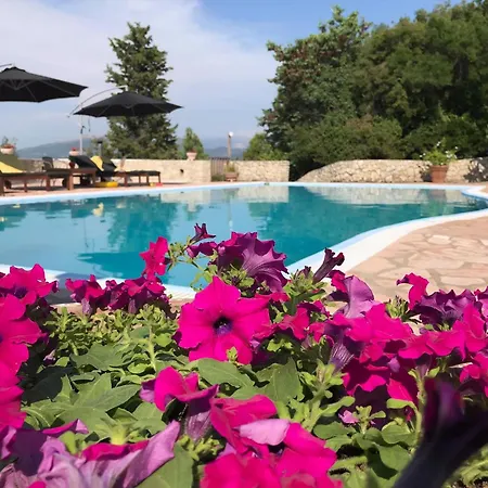 Kolonialvilla Am Alten Olivenhain Mit Swimmingpool